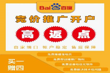 电商行业SEM运营的挑战与成功案例