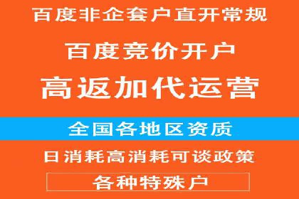 百度竞价托管公司案例：揭秘高效广告投放策略